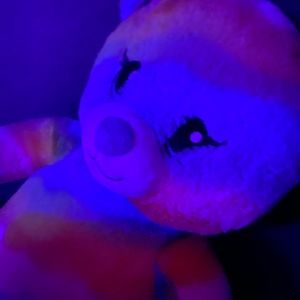 Meet your Posher, Shanelbari